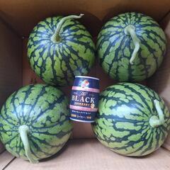 小玉スイカ🍉１個