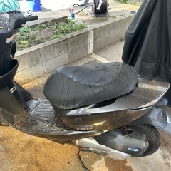 DIO       　の画像
