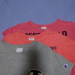 子供用Ｔシャツの画像