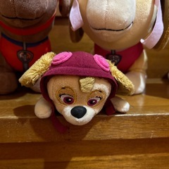 パウパトロールぬいぐるみ✴︎セットの画像