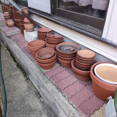 ❷植木鉢大小合わせて約200鉢