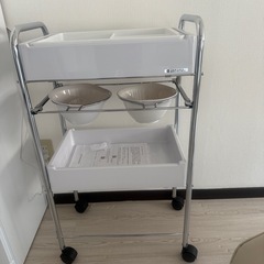 タカラエステサロン向けワゴンの画像