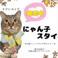 ハンドメイド猫😹スタイ