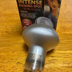 ‼️特価‼️爬虫類ライトの画像