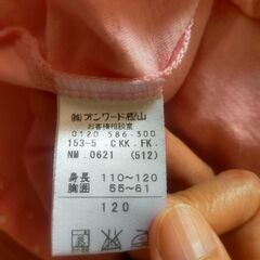anyfam　Ｔシャツ　サイズ120の画像