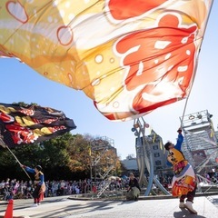 よさこいチーム旗士🚩メンバー募集中！　※旗振り経験不問！チ…