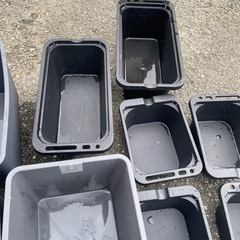 メダカ　飼育　容器　水中ポンプ　セット販売の画像