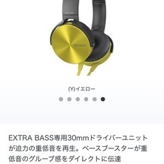 重低音 ヘッドホン　SONY イヤホン
