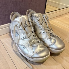 NIKE Jordan 6 Low Golf シルバー　ゴルフシ...