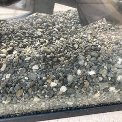 GEXの水槽差し上げますの画像