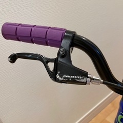 ⭐︎NEW自転車こどもCannondale製 16インチ⭐︎の画像