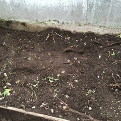 ◎決まりました◎　残土 20袋　の画像