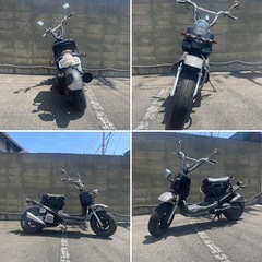 ホンダ　ズーマー　HONDA  原付　50cc キャブの画像