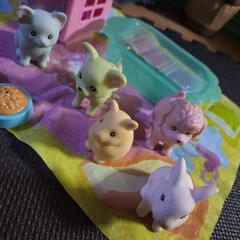 動物おもちゃの画像