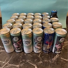 13.チルアウト23本、Red Bull5本 ZONE1本計29本
