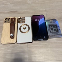 iPhone 13 Pro Max 512GB SIMフリー  
