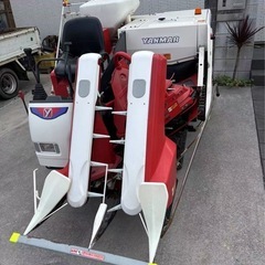 ヤンマーの画像