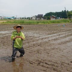 気分転換、お祓い祝詞どうですか？40分程度、￥1万円
