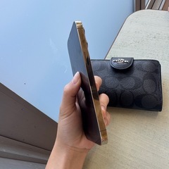 IPHONE 13 PRO (ゴールド)の画像