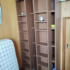 ダブル本棚　収納量抜群