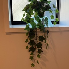 プラスチック植物の画像