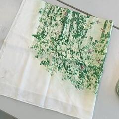 0628-495 布の画像