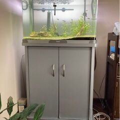 生き物込みの水槽と水槽台などの画像