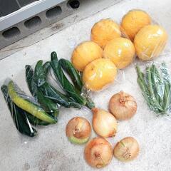 無農薬野菜＆果物の画像