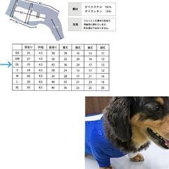 Ꮇ.ダックス用/ラッシュガード（ほぼ新品）ワンちゃんグッズプレゼント付の画像