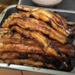 5️⃣  うなぎ釣りなら鰻遊会✨　　　　　　ライングルチャメンバー募集中❗ - 熊本市