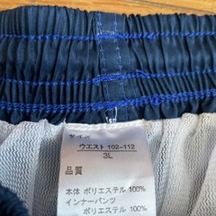 水着　小串郷の画像