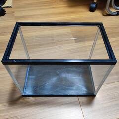 水槽と飼育セット/中古/30cmガラス水槽