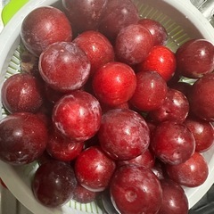 スモモ5個