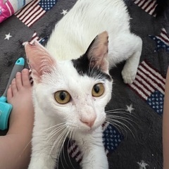 生後6ヶ月まんまる模様の男の子☺️