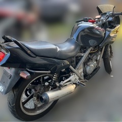 ホンダ　ゼルビス250   の画像