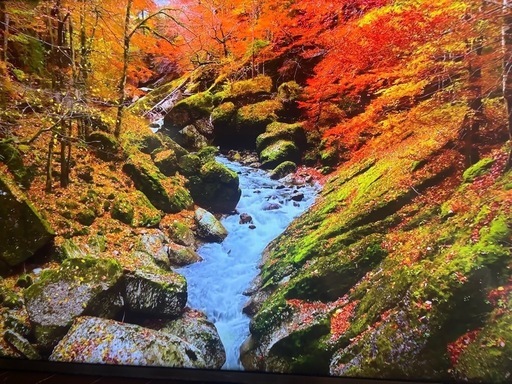 本日、限定価格〜55型ハイセンス Hisense 液晶テレビ HJ55N5000