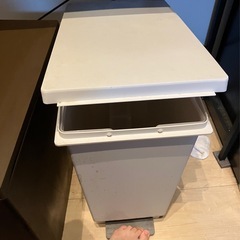 45Lペダル式ゴミ箱2台セットの画像