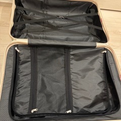 中古キャリーケース　60L ライトグリーンの画像