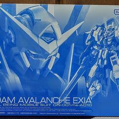 RG アヴァランチエクシアダッシュ