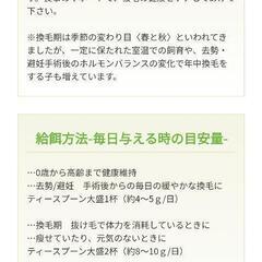 うさぎ　ウーリーエンハンサーの画像