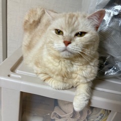 まんまるまるちゃん(^^)