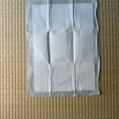 ペット用品 
ペットシーツ 薄型レギュラーサイズ 1000枚の画像