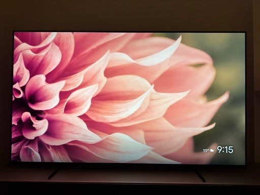 BRAVIA XR 65A80K ブラビア 4K有機EL 65インチ