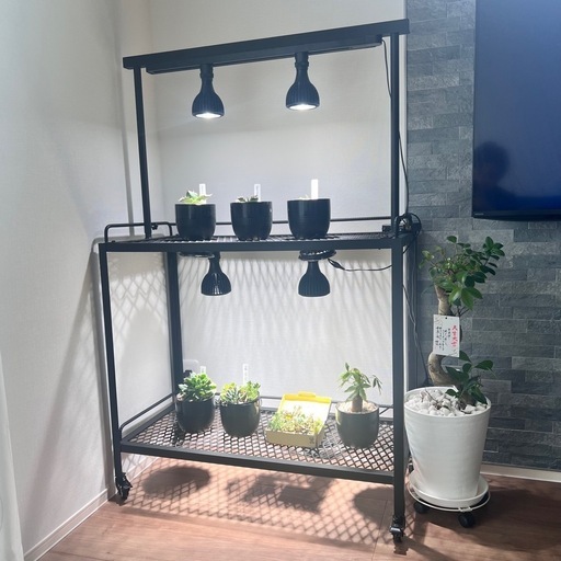 中型アイアン植物棚