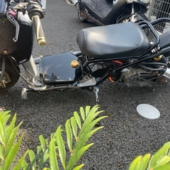 HONDA ズーマー50 7月18日、19日に取引できる方！ の画像