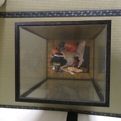 末広　日本人形　芳仙作　打かけ　昭和レトロ　古民家の画像