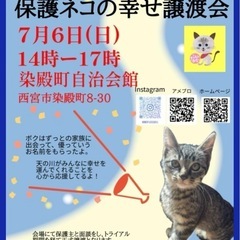保護ネコの幸せ譲渡会in西宮