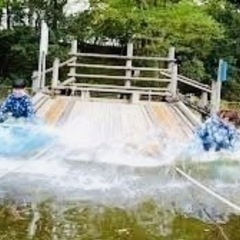 清水公園アスレチックふぉと8/10