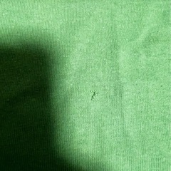 値下げ可能アーカンソー大学 ロゴTシャツ M グリーン  古着の画像