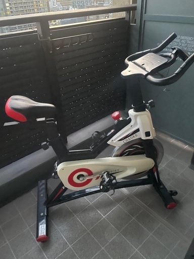 【配達相談可】 フィットネスバイクChaoke